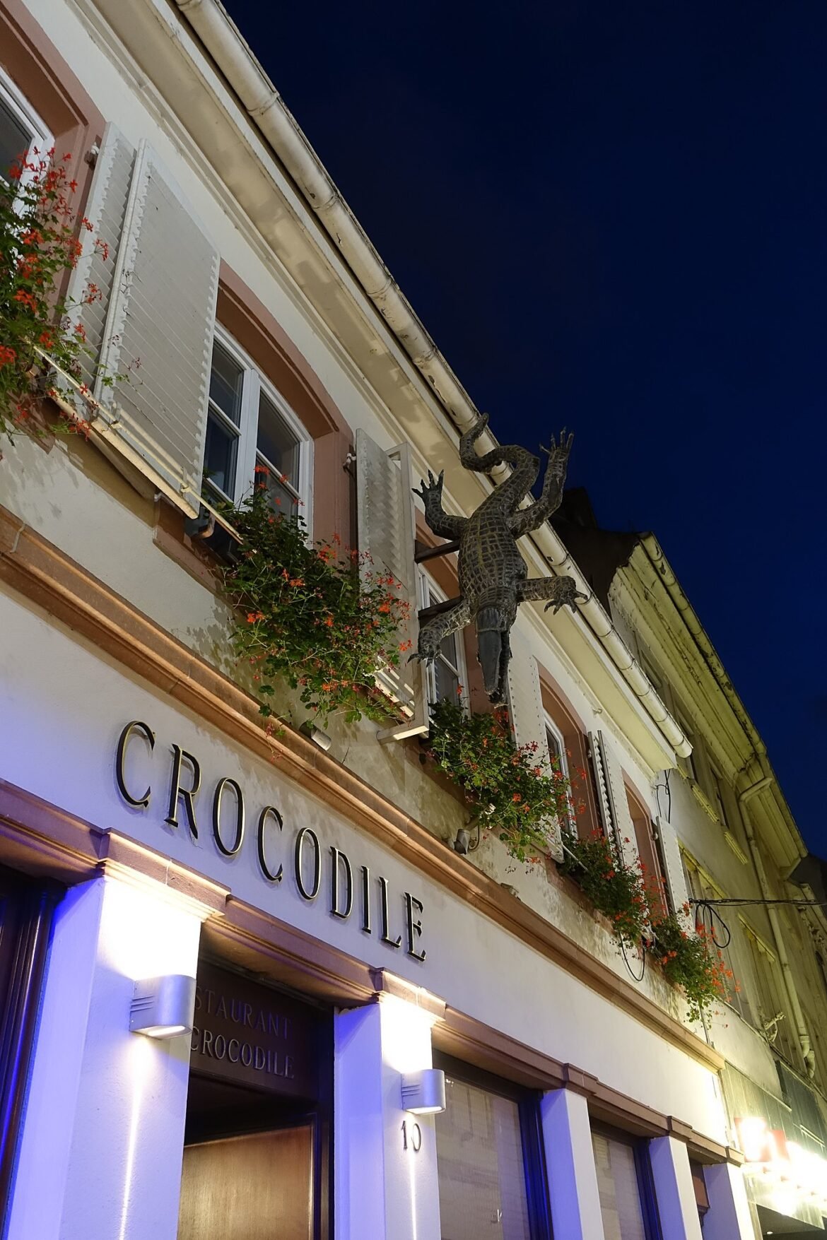 Crocodile Strasbourg - Photo: Guilhem Vellut / CC-BY - wikimedia.org